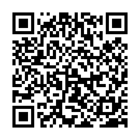 QR code for BAG435