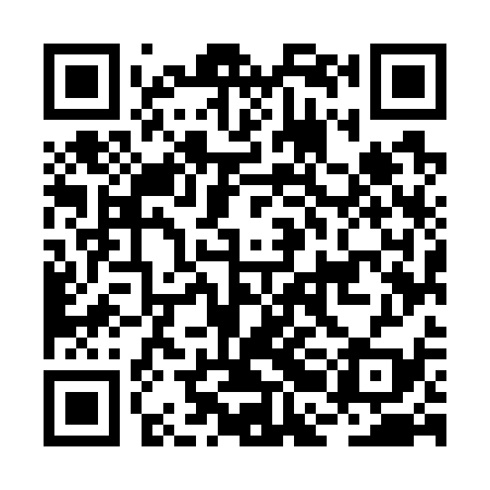 QR code for BBM739