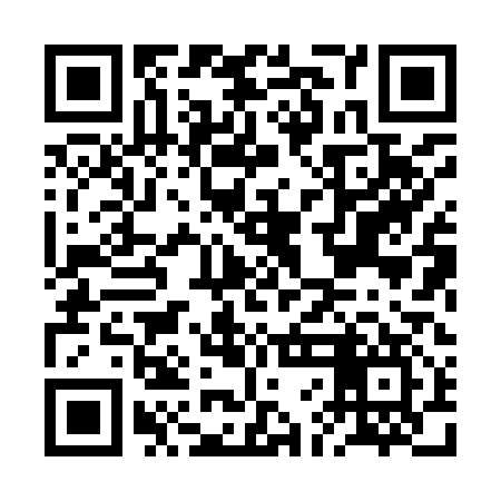 QR code for BFH917