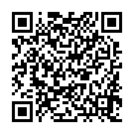 QR code for BHL294