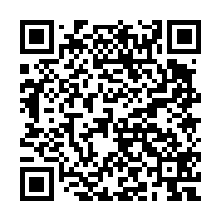 QR code for BIA419