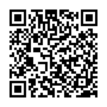 QR code for BIC213