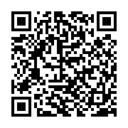 QR code for BIE533