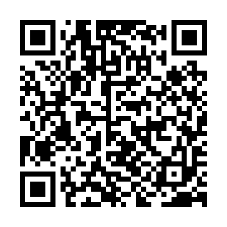 QR code for BIG293