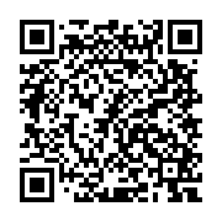 QR code for BIJ541