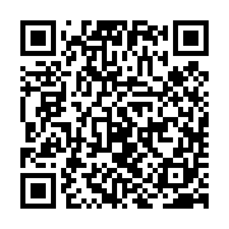 QR code for BIR450