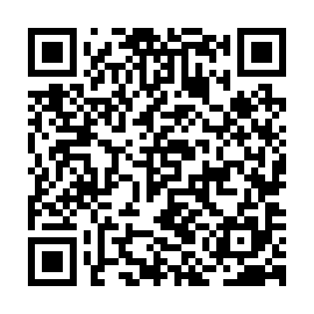 QR code for BMN295