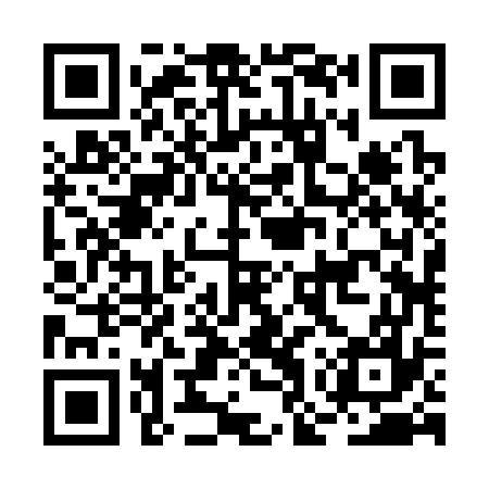 QR code for BOR377