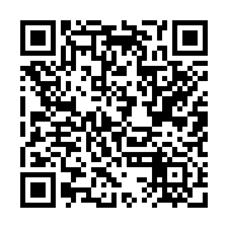 QR code for BSM313