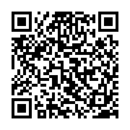 QR code for BTS333