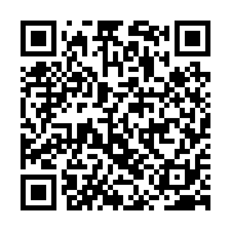 QR code for BUG211