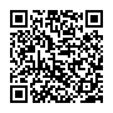 QR code for BUL291