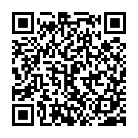QR code for BWG541