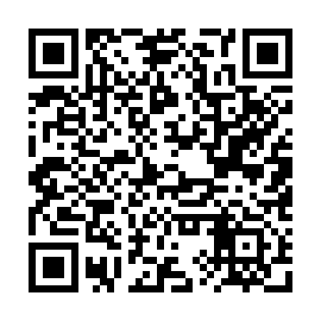 QR code for BYU313