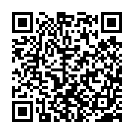 QR code for BZD653