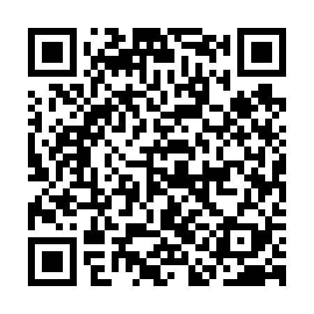 QR code for CAE629