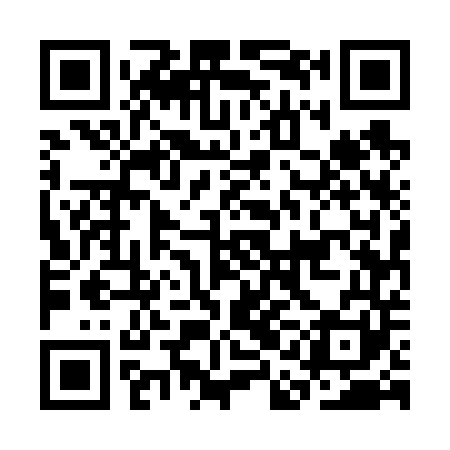 QR code for CAE641