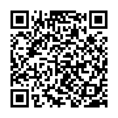 QR code for CAI919
