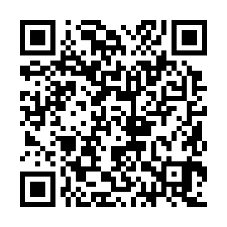 QR code for CAQ381