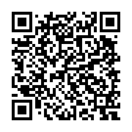 QR code for CDZ491