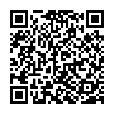 QR code for CHF228
