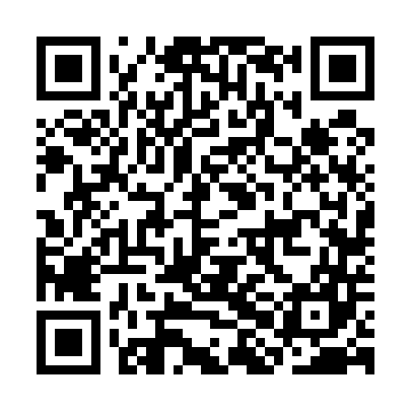 QR code for CHF547