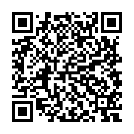 QR code for CHF911