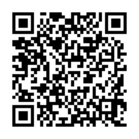 QR code for CHI990