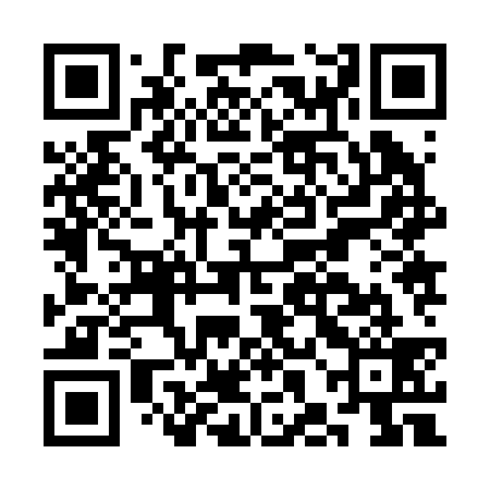 QR code for CHJ239