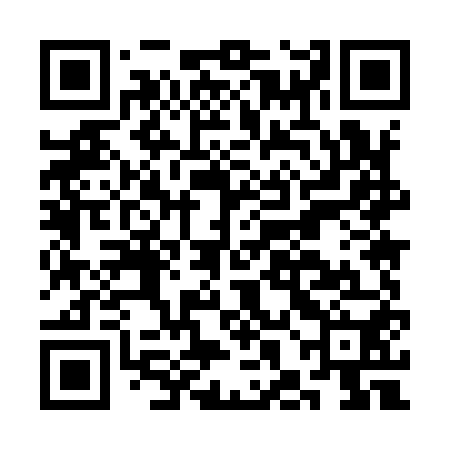 QR code for CHM950
