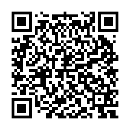 QR code for CHO261