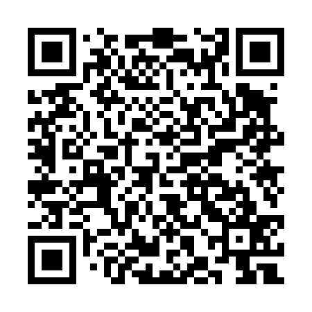 QR code for CHO437