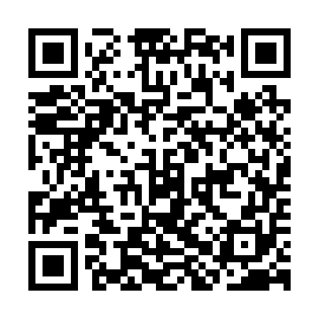 QR code for CHS250