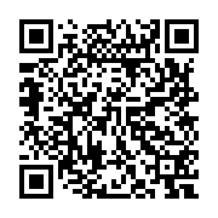 QR code for CHS950