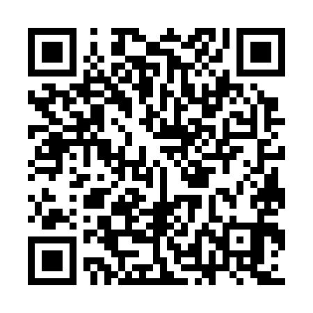 QR code for CLG391