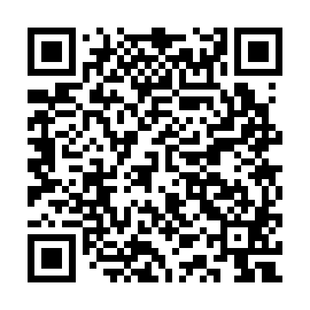 QR code for CQS381