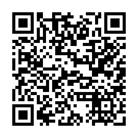 QR code for CTG387