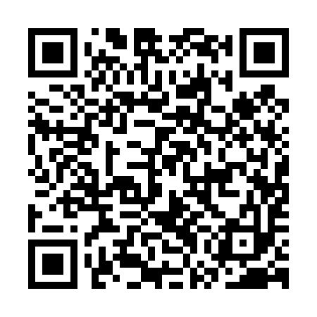 QR code for CWA493