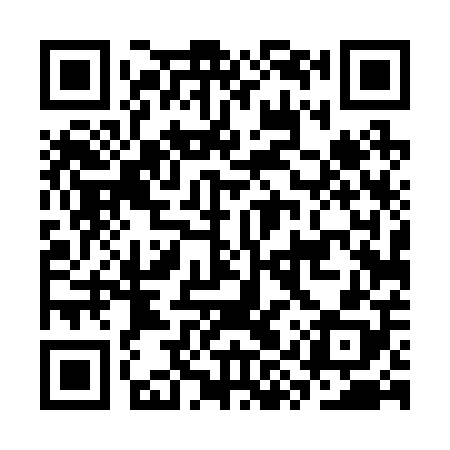 QR code for CYT208