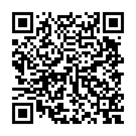 QR code for CZH451
