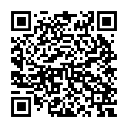 QR code for CZK242