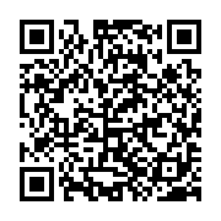QR code for CZM391