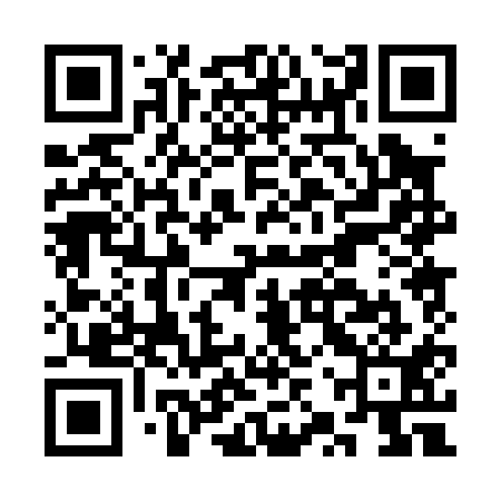 QR code for CZP011