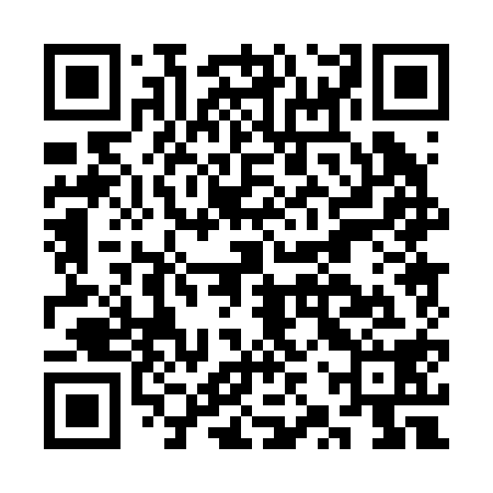QR code for CZP218