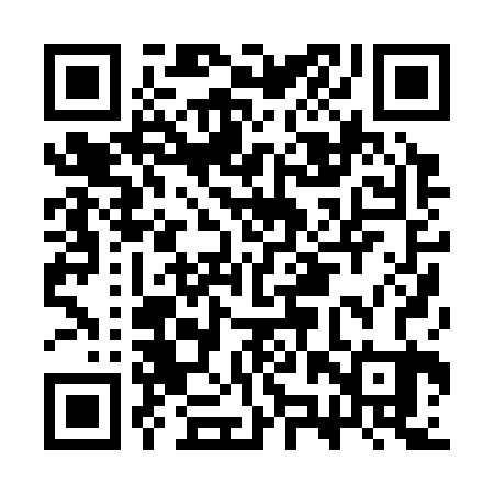 QR code for CZP323