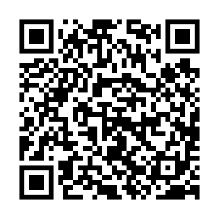 QR code for CZP691