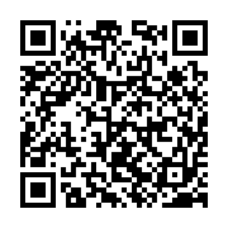 QR code for CZQ313