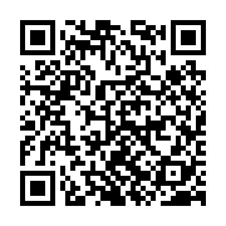 QR code for CZS228