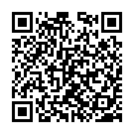 QR code for CZS398