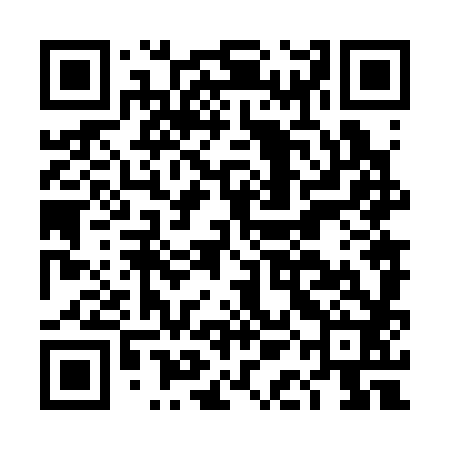 QR code for DAN382